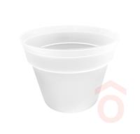 Orchidea cserép 18cm